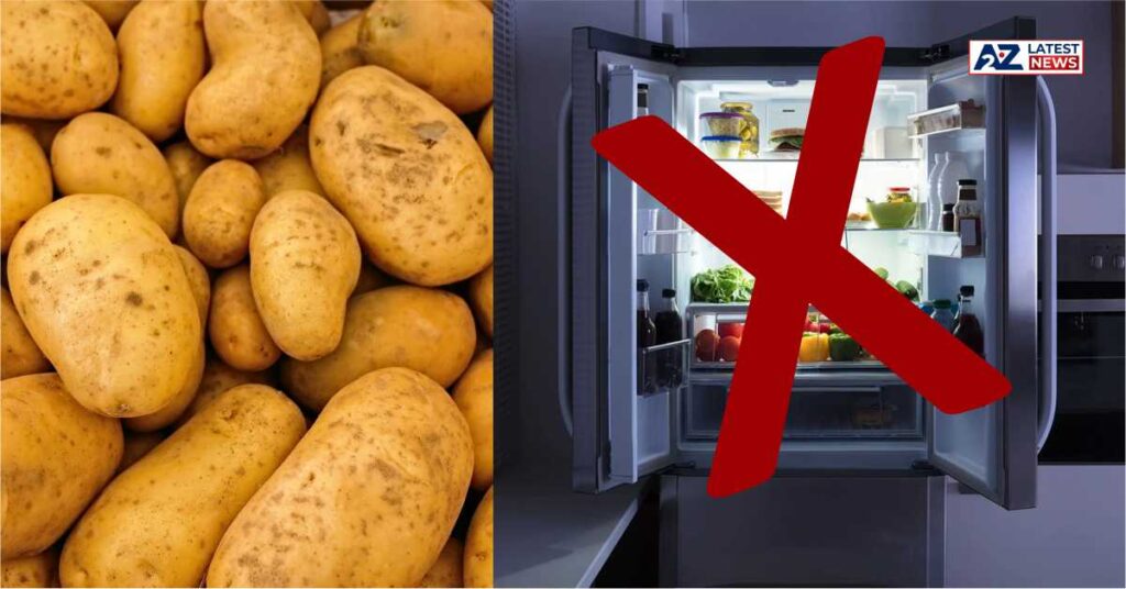 Frozen Potatoes Storage Tips